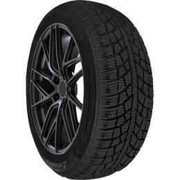 Antares Tire Lumi 195/55R16 winter tire