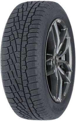 Cooper Discoverer True North 205/55R16 winter tire