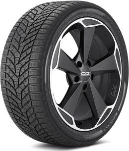 Yokohama BluEarth V905 285/30R20 winter tire