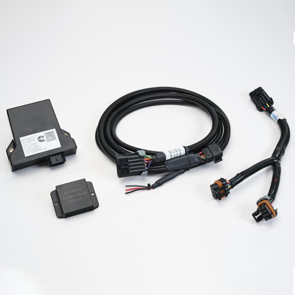 Cummins A065U664 ONAN ECAGS+ (GASOLINE & LP)