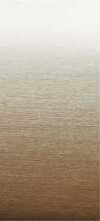 55345_1_.jpg?width=100&quality=0.5