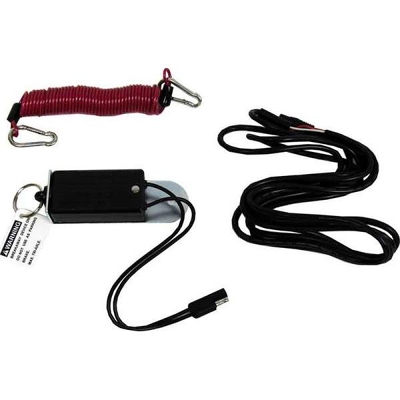 Blue Ox Patriot Breakaway Switch