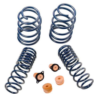 Ford Performance Boss 302 Lowering Spring Kit